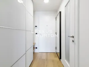 Pronájem bytu 1+kk, Praha - Michle, Hodonínská, 32 m2
