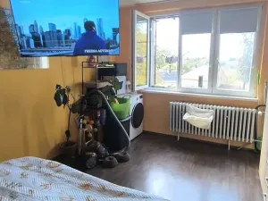 Pronájem bytu 1+1, Aš, Tylova, 36 m2