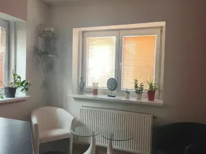 Prodej rodinného domu, Ústí nad Labem, 172 m2