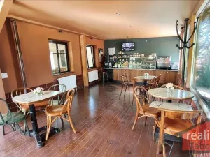 Prodej komerční nemovitosti, Nupaky, Nupacká, 241 m2