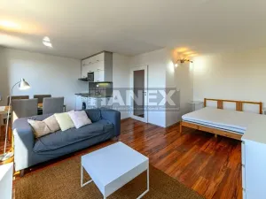 Pronájem bytu 1+kk, Praha - Karlín, Molákova, 36 m2