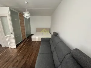Pronájem bytu 1+1, Plzeň, Břeclavská, 39 m2