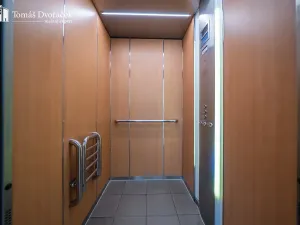 Prodej bytu 2+kk, Brno, Haškova, 77 m2
