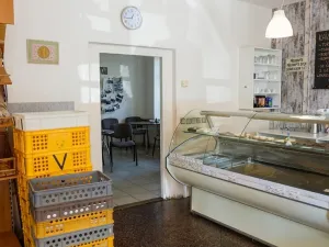 Prodej obchodního prostoru, Přibyslav, Bechyňovo náměstí, 380 m2