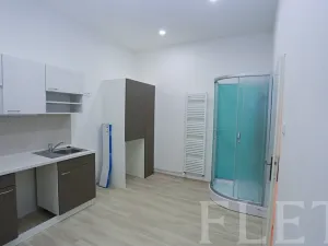 Pronájem bytu 1+1, Praha - Žižkov, Chelčického, 45 m2