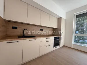 Pronájem bytu 2+kk, České Budějovice, Hálkova, 36 m2
