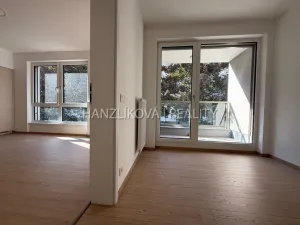 Pronájem bytu 2+kk, České Budějovice, Hálkova, 36 m2