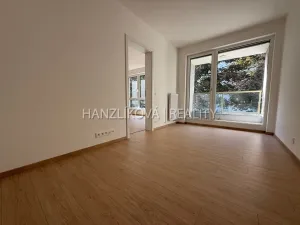 Pronájem bytu 2+kk, České Budějovice, Hálkova, 36 m2
