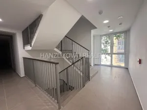 Pronájem bytu 2+kk, České Budějovice, Hálkova, 36 m2
