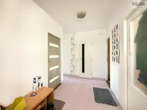 Pronájem bytu 3+1, Most, Františka Malíka, 68 m2