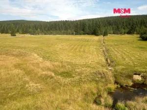 Prodej louky, Kořenov - Jizerka, 18695 m2