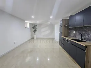 Prodej kanceláře, Praha - Kobylisy, Javorová, 49 m2