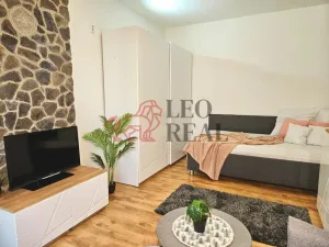 Prodej bytu 1+1, Příbor, npor. Loma, 32 m2