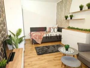 Prodej bytu 1+1, Příbor, npor. Loma, 32 m2