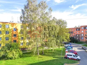 Prodej bytu 1+1, Příbor, npor. Loma, 32 m2