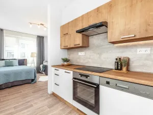Pronájem bytu 1+1, Rychnov nad Kněžnou, Javornická, 42 m2