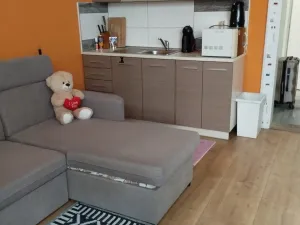 Pronájem bytu 1+kk, Ostrava, Na Hradbách, 32 m2