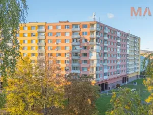Prodej bytu 1+1, Chomutov, Bezručova, 35 m2