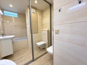 Pronájem bytu 2+kk, Zábřeh, Severovýchod, 36 m2