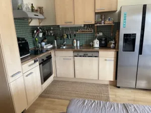 Prodej bytu 2+kk, Plzeň - Severní Předměstí, Elišky Krásnohorské, 67 m2