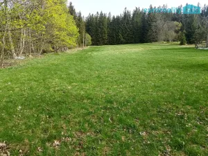 Prodej louky, Zdíkov - Masákova Lhota, 5869 m2