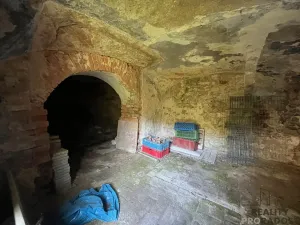 Prodej rodinného domu, Tuklaty, Akátová, 210 m2