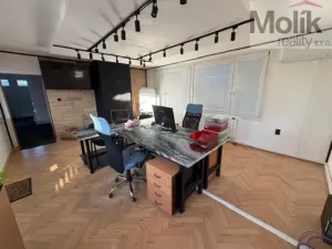 Pronájem rodinného domu, Litvínov - Chudeřín, Janáčkova, 147 m2