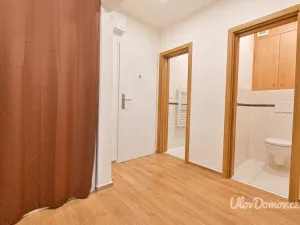 Pronájem bytu 2+kk, Brno - Líšeň, Zikova, 45 m2