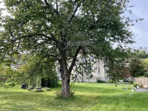 Pronájem bytu 1+kk, Bakov nad Jizerou - Podhradí, 45 m2