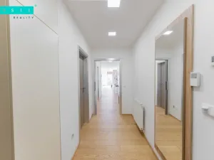 Pronájem bytu 4+kk, Olomouc - Nové Sady, Českobratrská, 151 m2