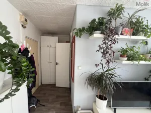 Pronájem bytu 1+1, Most, K. H. Borovského, 26 m2