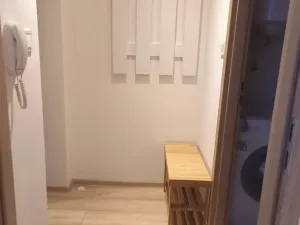 Pronájem bytu 1+kk, Brno, Vlhká, 23 m2