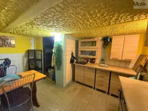 Prodej zahrady, Želenice, 646 m2