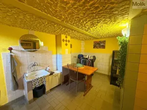 Prodej zahrady, Želenice, 646 m2