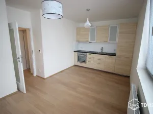 Pronájem bytu 2+kk, Brno, Mlýnská, 38 m2
