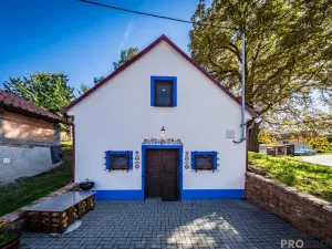 Prodej vinného sklepa, Domanín, 90 m2