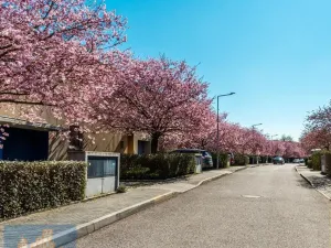 Prodej bytu 4+kk, Husinec, Červená Skála, 119 m2