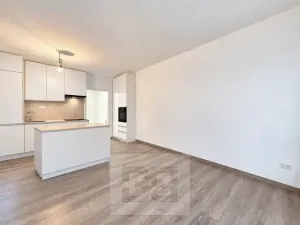 Pronájem bytu 1+kk, Polná, Pojmannova, 33 m2