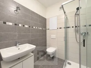 Pronájem bytu 1+kk, Polná, Pojmannova, 33 m2