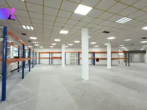 Pronájem obchodního prostoru, Karviná, Jaroslava Vrchlického, 1161 m2