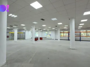 Pronájem obchodního prostoru, Karviná, Jaroslava Vrchlického, 1161 m2