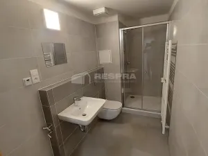 Pronájem bytu 1+kk, Praha - Hodkovičky, Šífařská, 38 m2