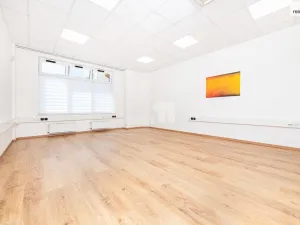 Pronájem bytu 1+kk, Praha - Vršovice, Smolenská, 48 m2