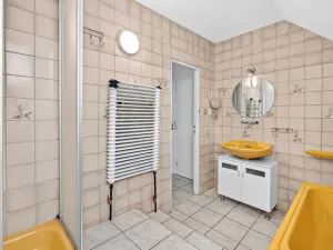 Prodej rodinného domu, Janovice nad Úhlavou, Spartakiádní, 370 m2