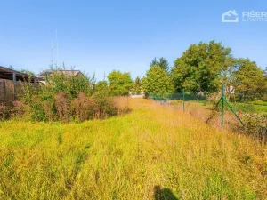 Prodej rodinného domu, Měrovice nad Hanou, 97 m2