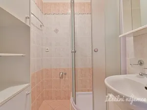 Pronájem bytu 3+1, Brno - Štýřice, Jílová, 55 m2