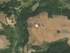 Prodej podílu pole, Snědovice, 91360 m2