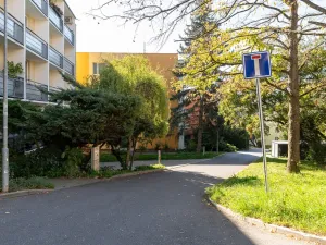 Prodej bytu 2+1, Brno - Žabovřesky, Fričova, 54 m2