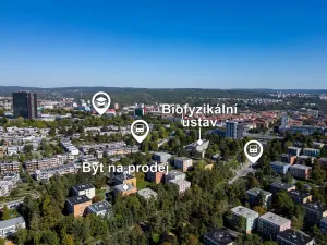Prodej bytu 2+1, Brno - Žabovřesky, Fričova, 54 m2