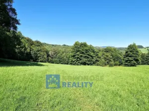 Prodej louky, Trutnov - Babí, 22776 m2